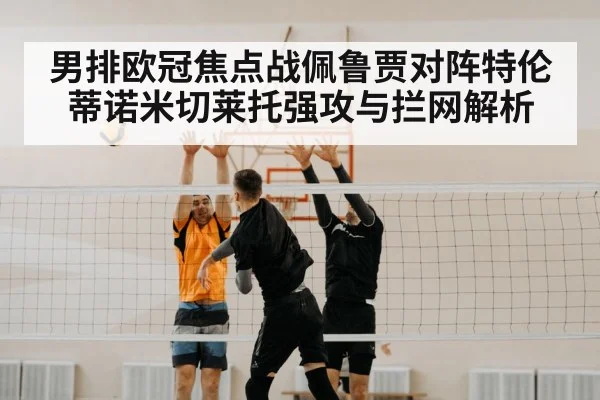 volleyball block net