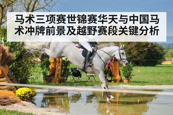 equestrian eventing cross country horse