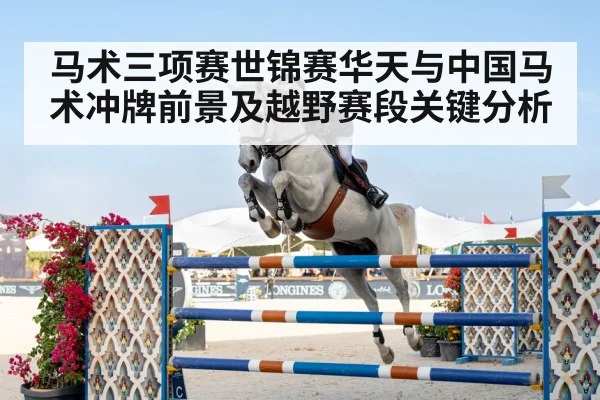 equestrian show jumping horse rider