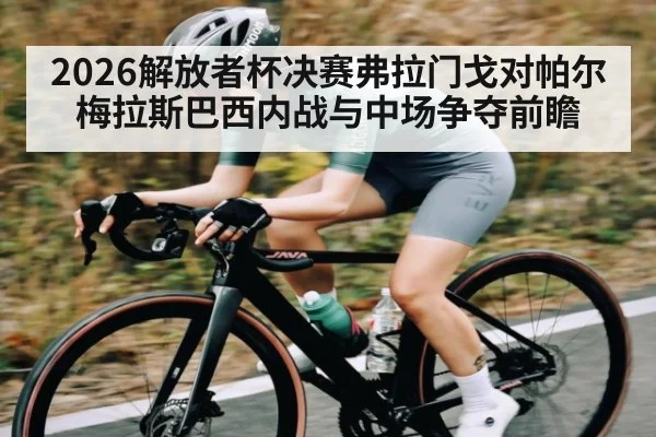 2026解放者杯决赛弗拉门戈对帕尔梅拉斯巴西内战与中场争夺前瞻